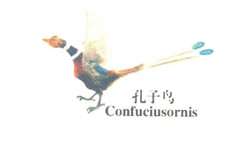 孔子鸟CONFUCIUSORNIS