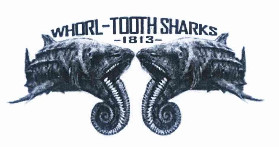 (译音)
Whorl
-tooth
Sharks
+1813
鲨鱼图形