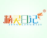 精灵日记JINGLINGRIJI