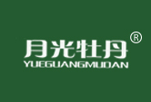 月光牡丹YUEGUANGMUDAN