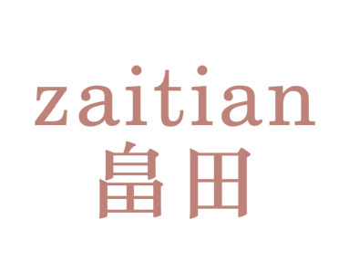 畠田zaitian