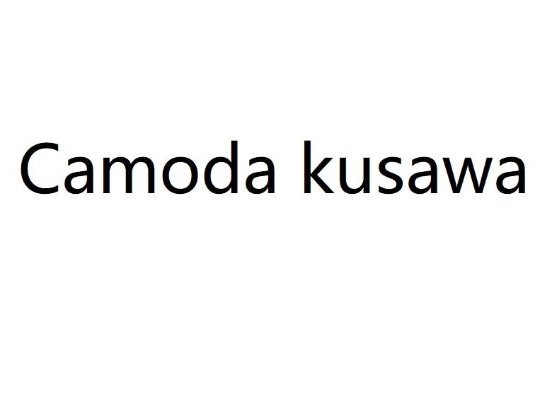 Camodekusawa