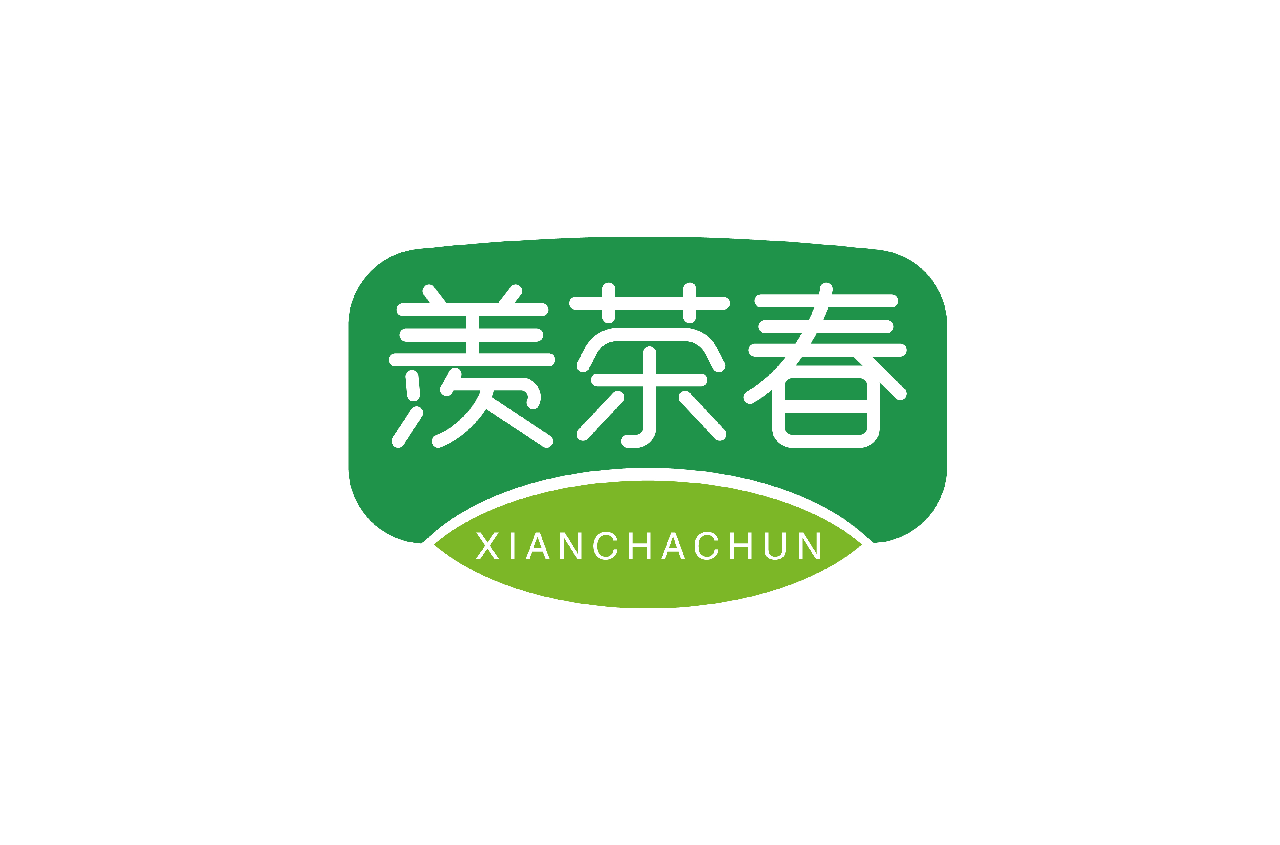 羡茶春XIANCHACHUN