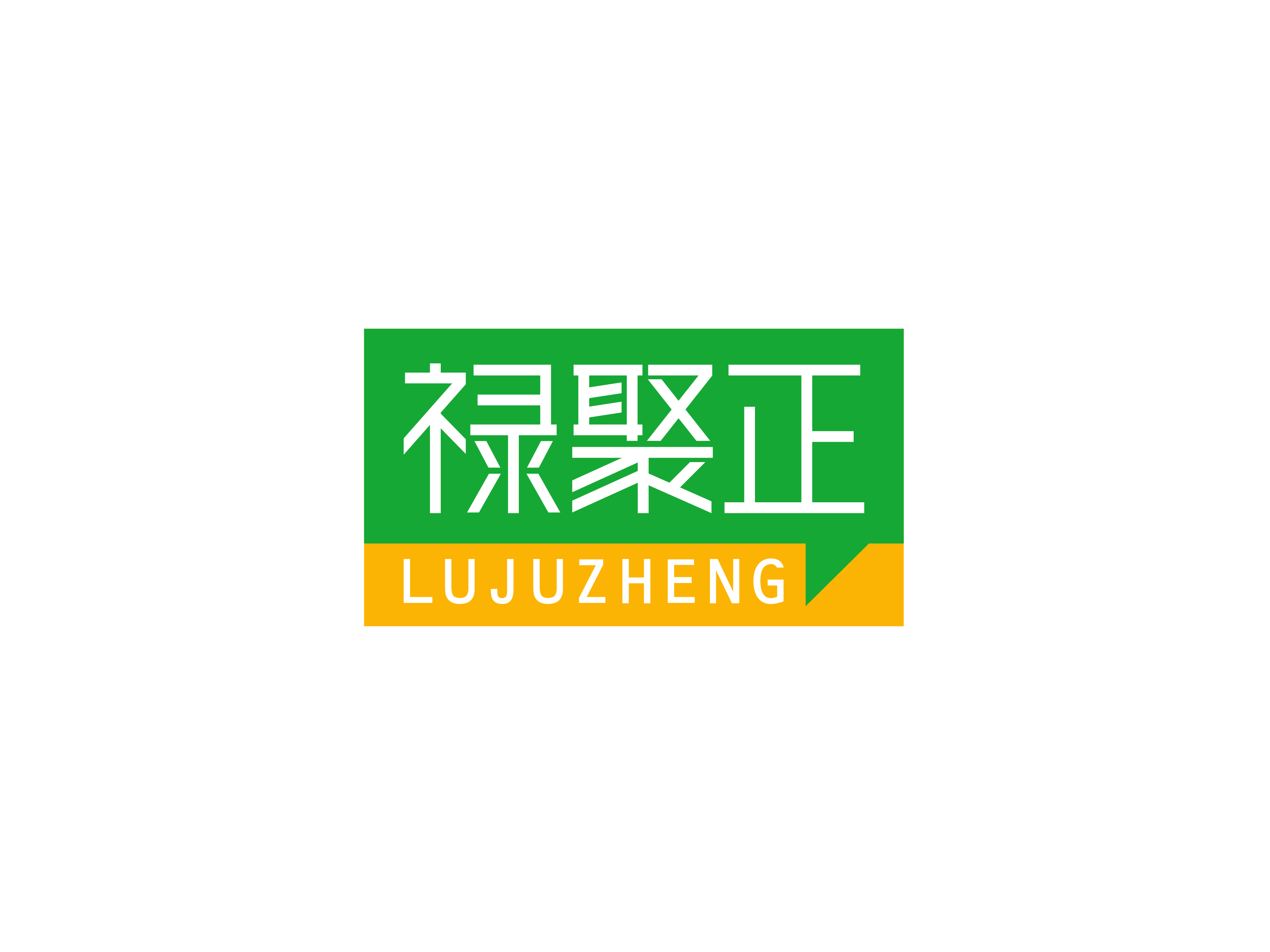 禄聚正 LUJUZHENG