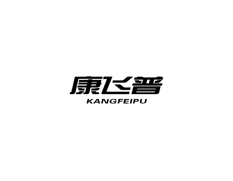 康飞普kangfeipu