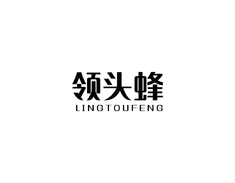 领头蜂INGTOUFENG