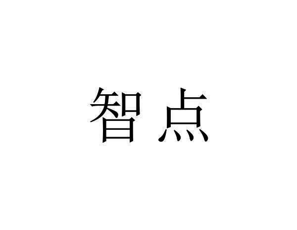 智点