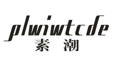 PLWIWTCDE素潮