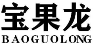 宝果龙BAOGUOLONG