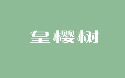 皇樱树