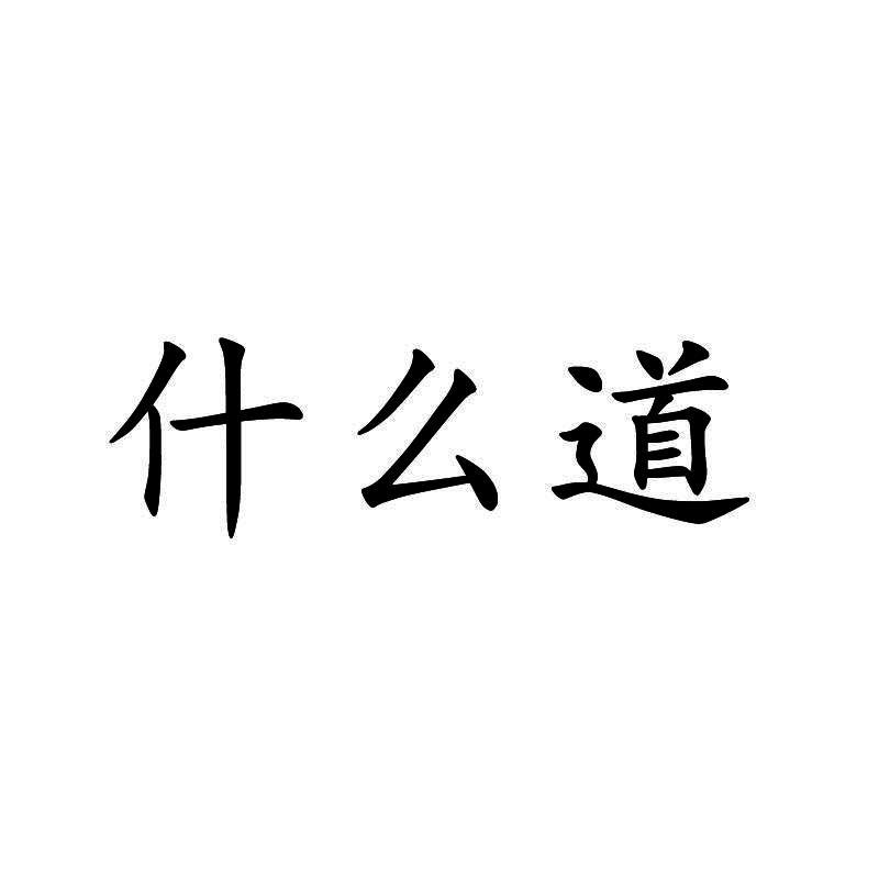 什么道