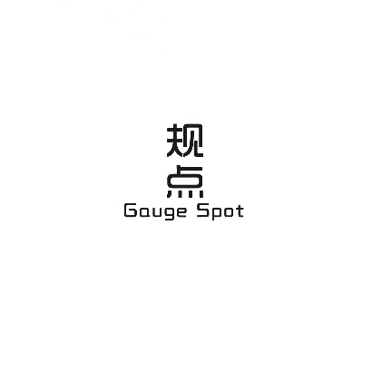 规点 GAUGE SPOT