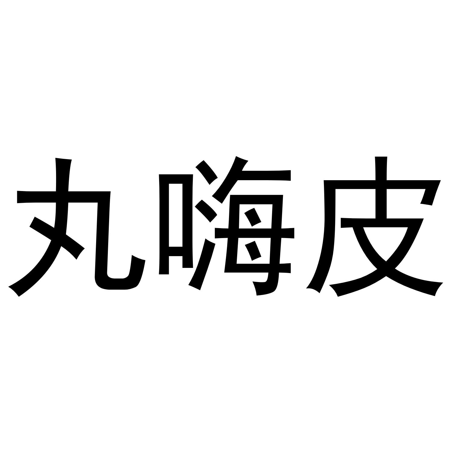 丸嗨皮