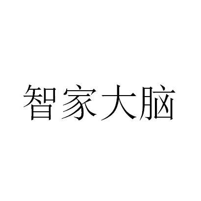 智家大脑