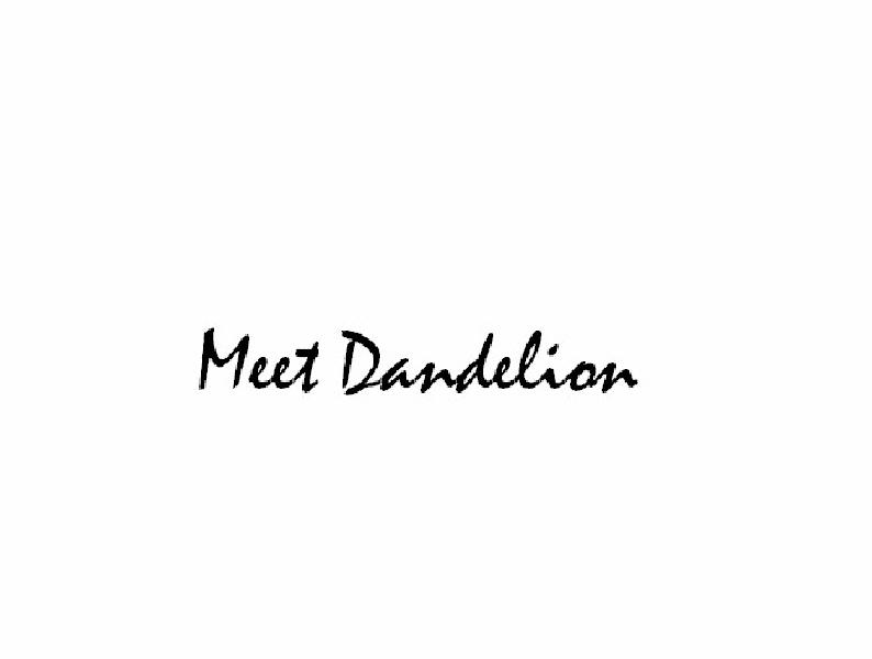 MEETDANDELIONS