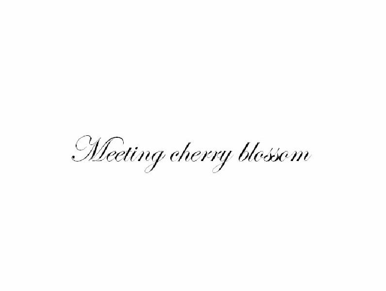 MEETINGCHERRYBLOSSOM