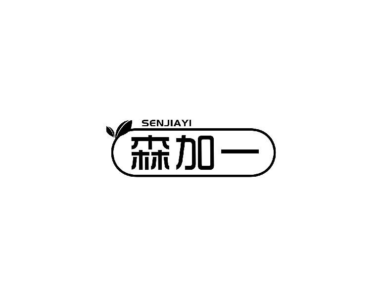 森加一senjiayi