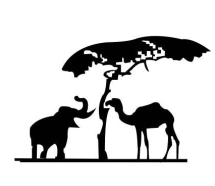 大象和骆驼