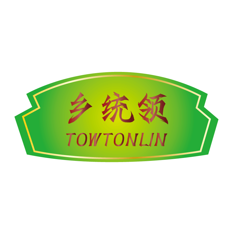 乡统领TOWTONLIN