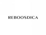 REBOOSDICA