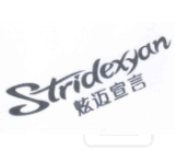 炫迈宣言 STRIDEXYAN