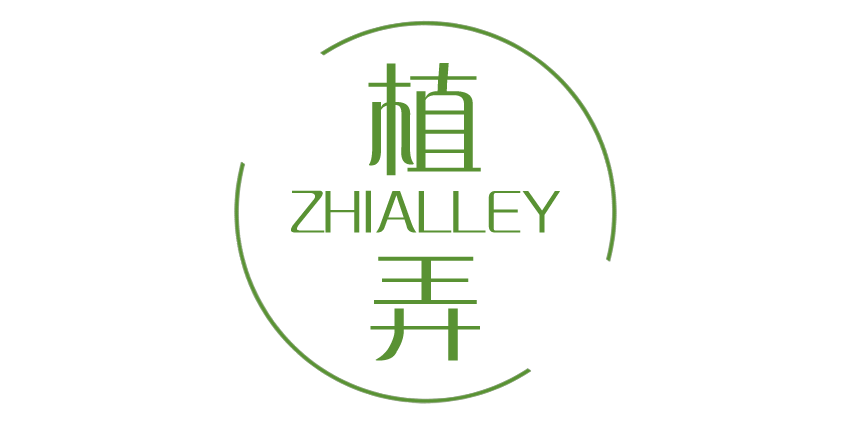 植弄ZHIALLEY