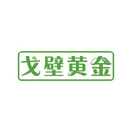 戈壁黄金