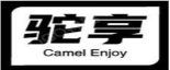 驼享CAMEL ENJOY