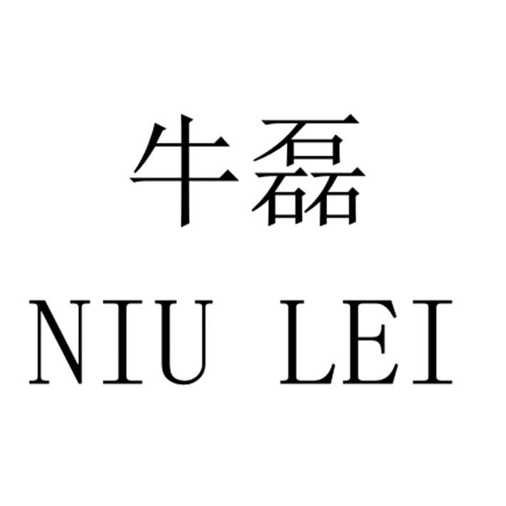 牛磊NIULEI