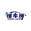 懂车狮
 DONCARSI