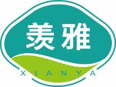 羡雅
xianya