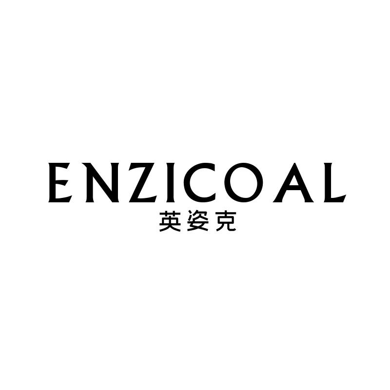 英姿克
enzicoal