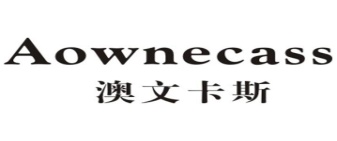 澳文卡斯 AOWNECASS