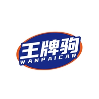 王牌驹
WANPAICAR