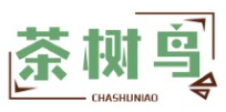 茶树鸟CHASHUNIAO