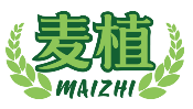 麦植MAIZHI