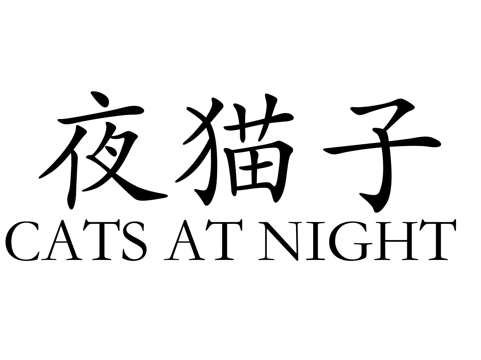 夜猫子 CATS AT NIGHT