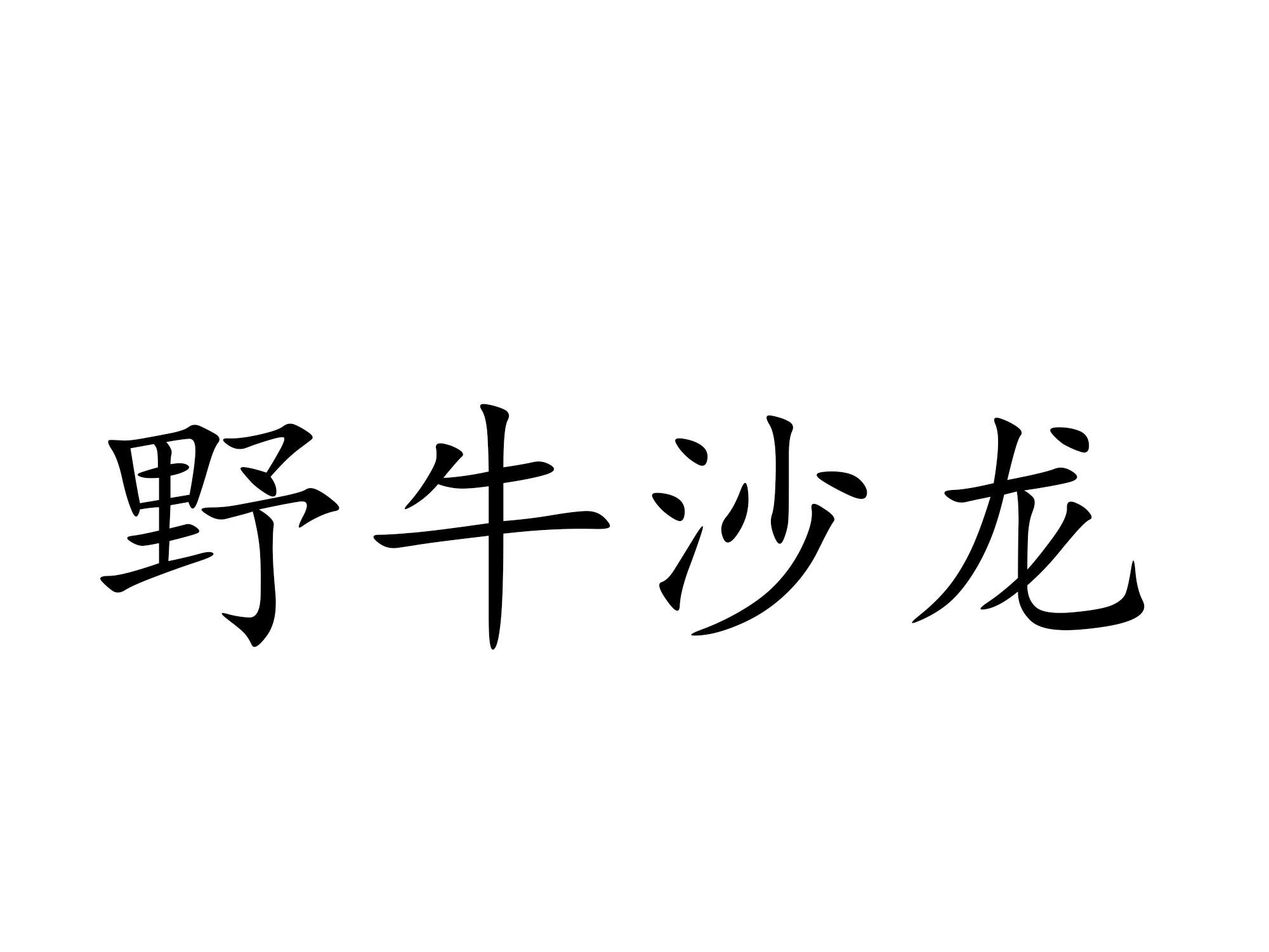 野牛沙龙