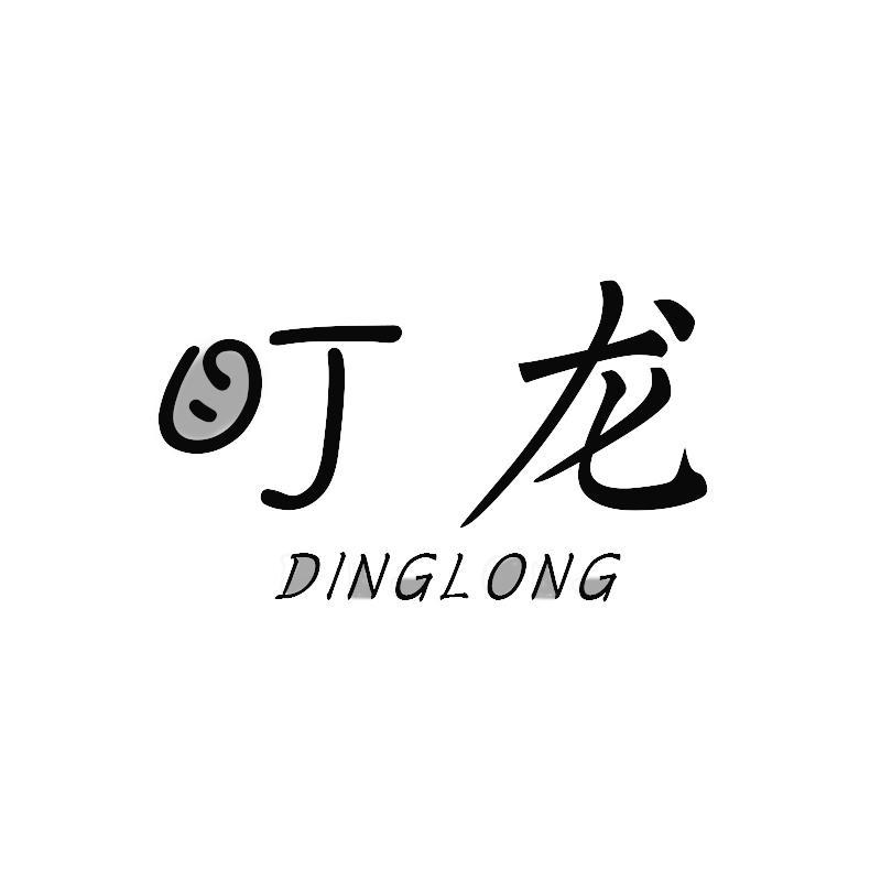 盯龙DING LONG