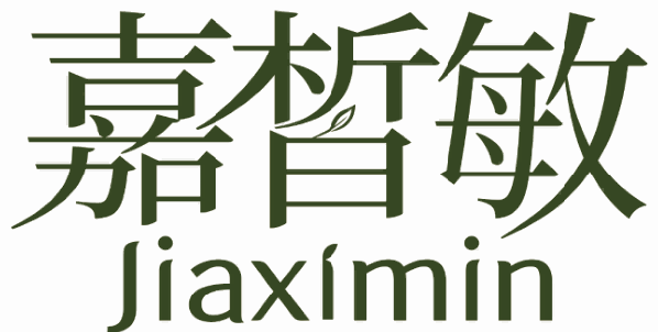 嘉皙敏JiaXimin