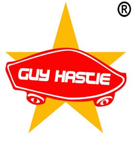万斯滑板 图形       Guy Hastie