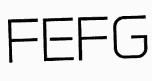 FEFG