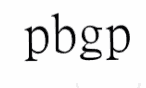 pbgp