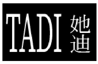 她迪TADI