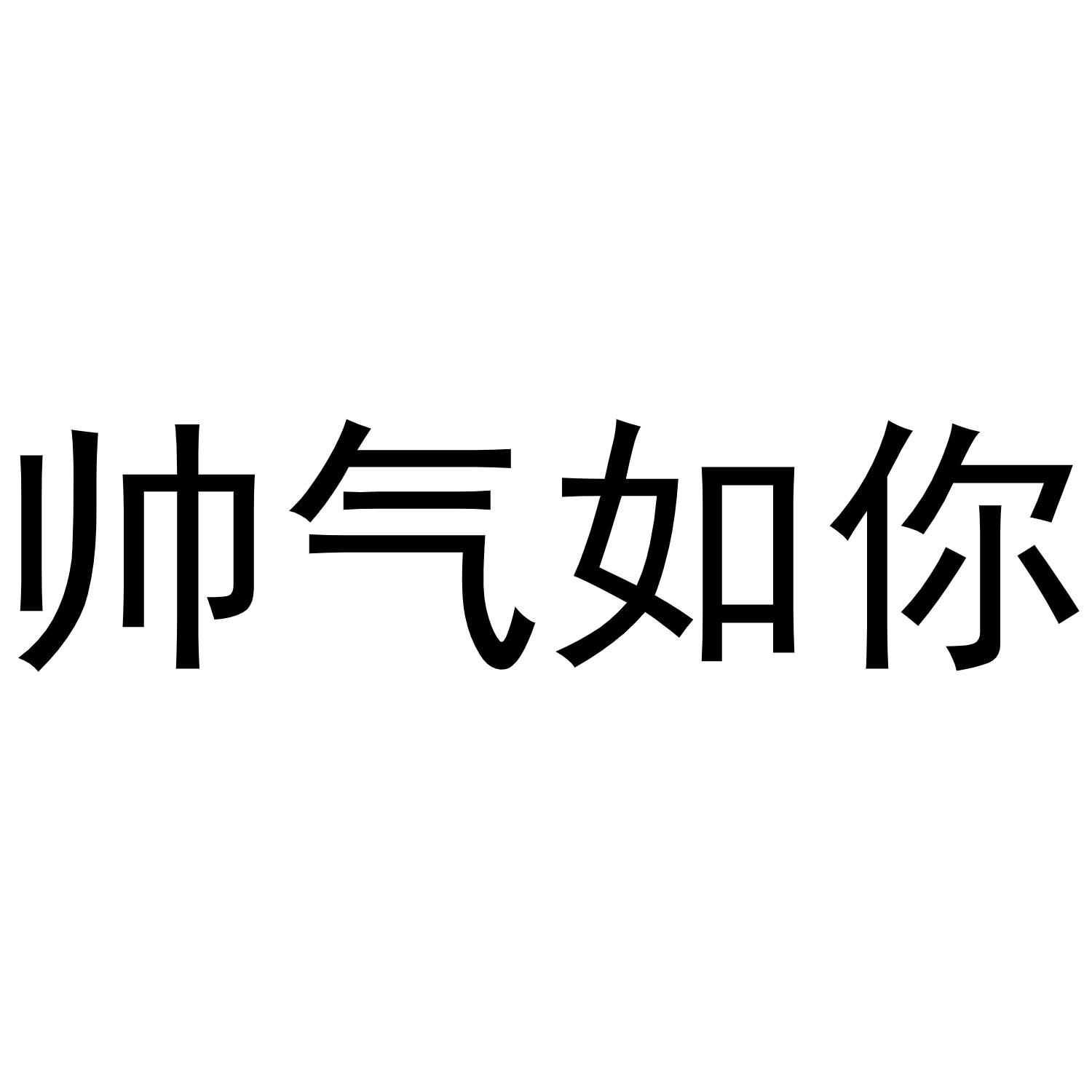 帅气如你