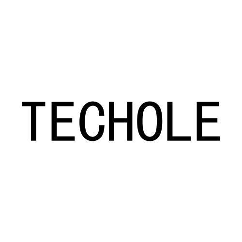 TECHOLE