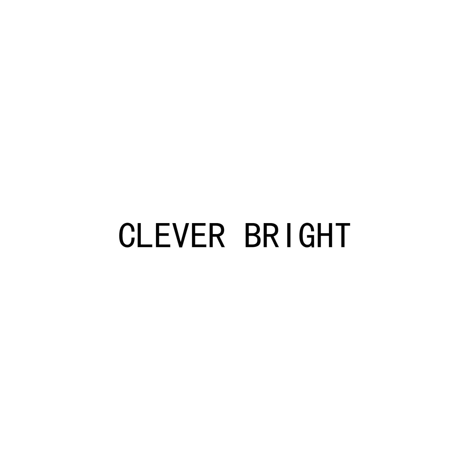 CLEVER BRIGHT