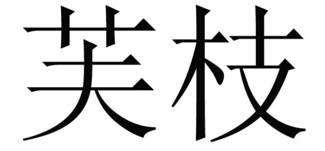 芙枝