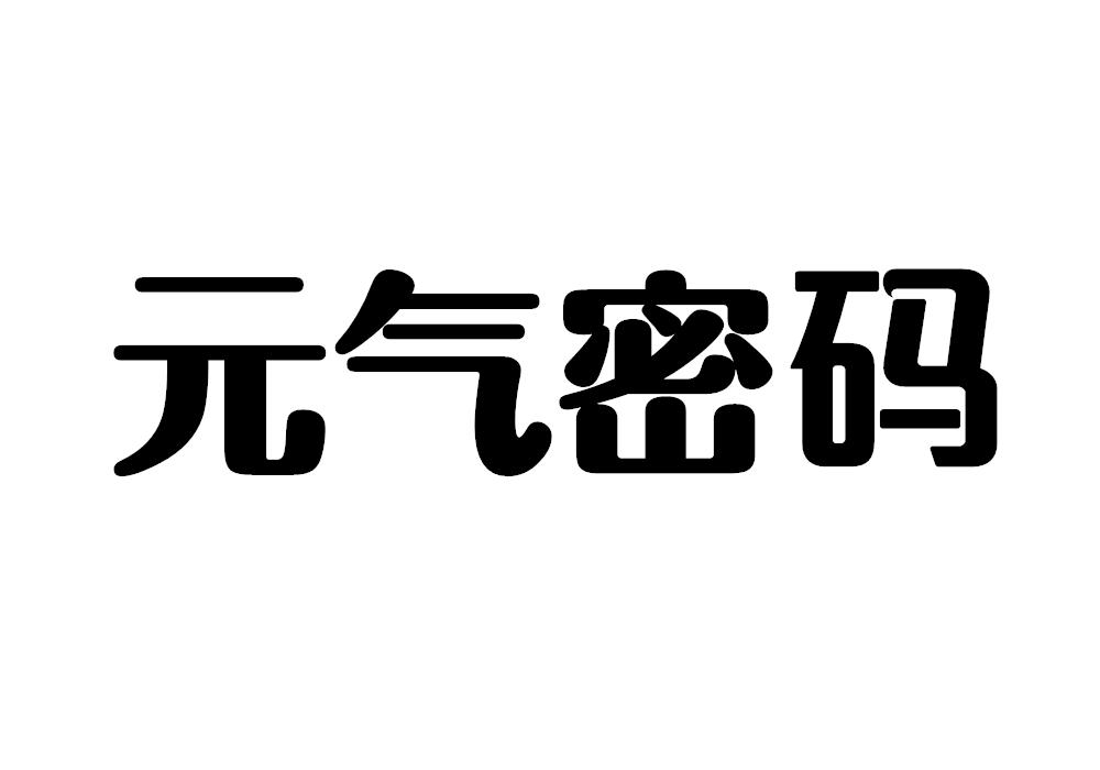 元气密码