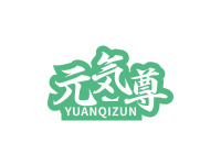 元气尊 YUANQIZUN